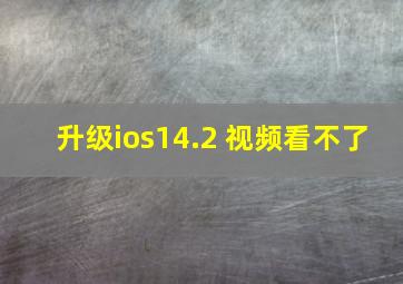 升级ios14.2 视频看不了